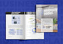 create a professional lender ready sba business plan